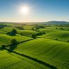 Le ministre de l’agriculture dévoile sa stratégie